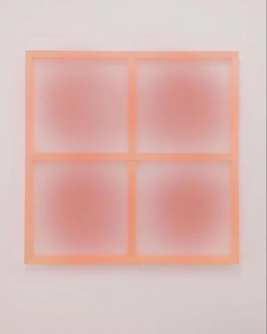 柑橘